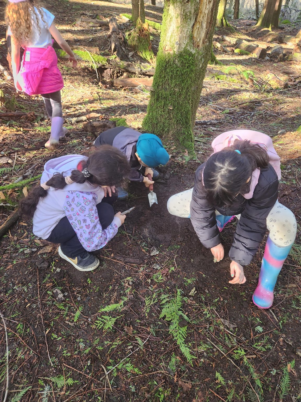 Caitlin Humber Thinking Historically